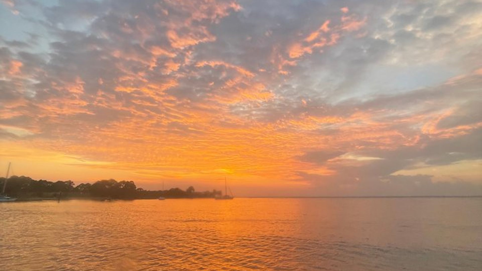 Delfinbeobachtungstour bei Sonnenuntergang