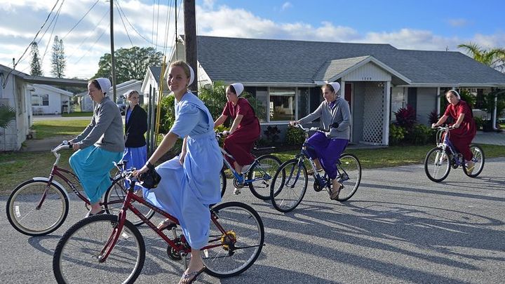 Amish Experience Trolley Tour: Bridges to Understanding