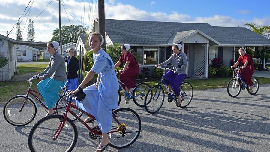 Amish Experience Trolley Tour: Bridges to Understanding