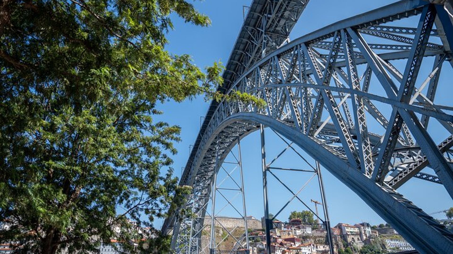 Tour a Pé de Meio Dia pelo Porto com Visita a Adega de Vinho do Porto e Degustação