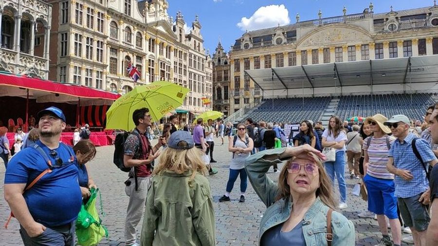 Brussels Morning or Afternoon Group Walking Tour