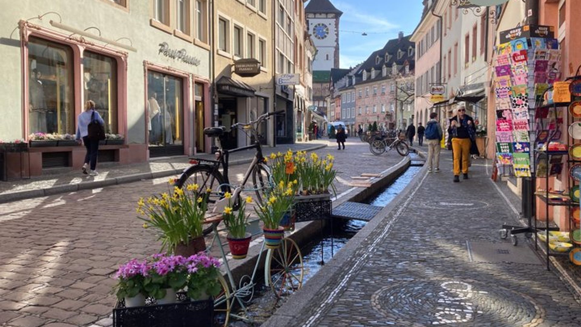 Visita Friburgo, Titisee y Triberg desde Estrasburgo