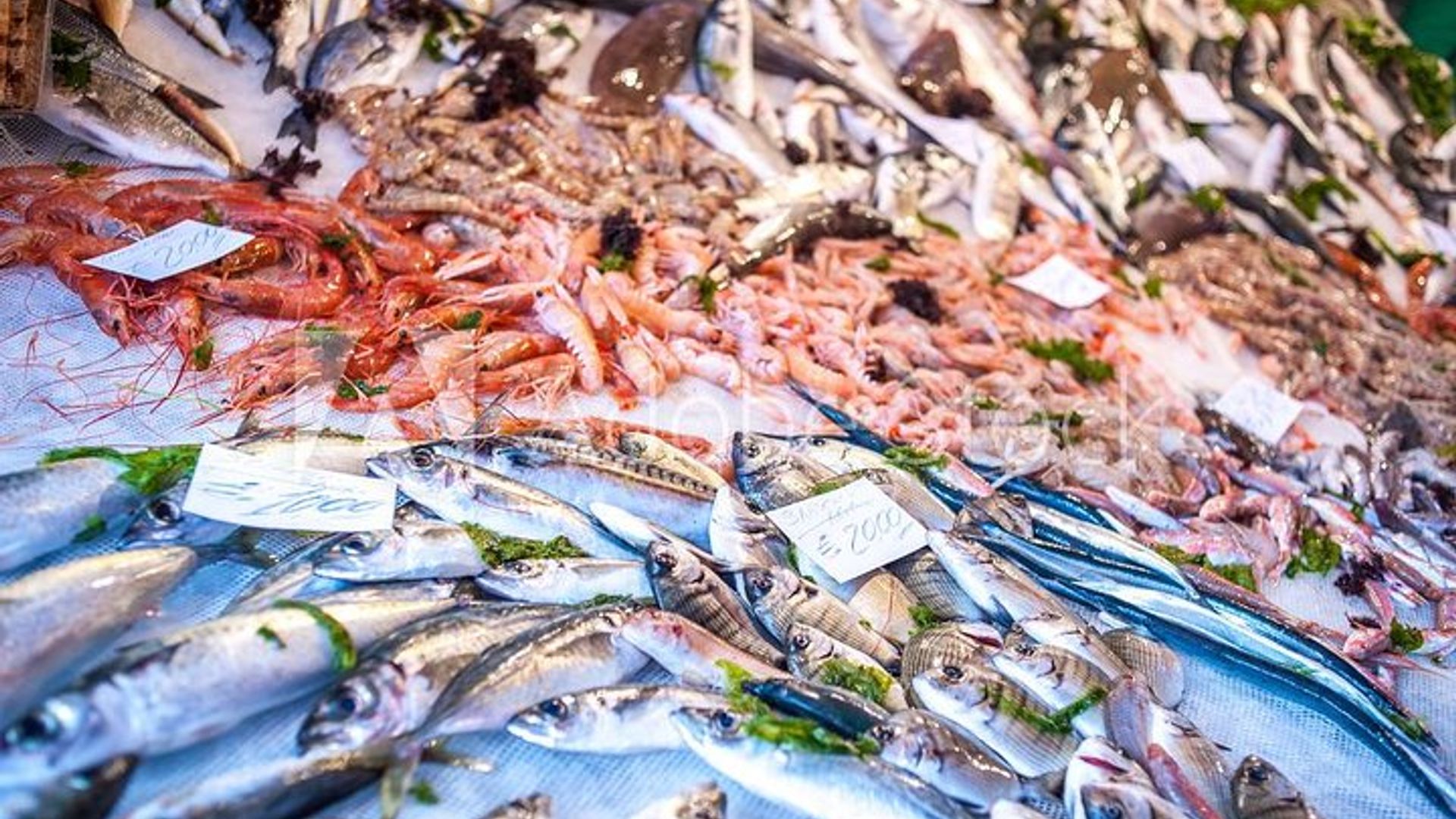 Viareggio Small-Group Market and Food Tour