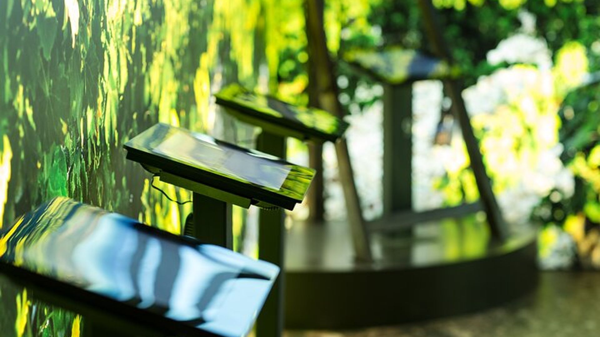 Der Entdeckungspfad im Maison Brotte