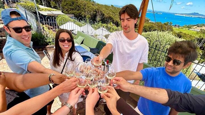 Waiheke Island Scenic Wine Tour with Lunch