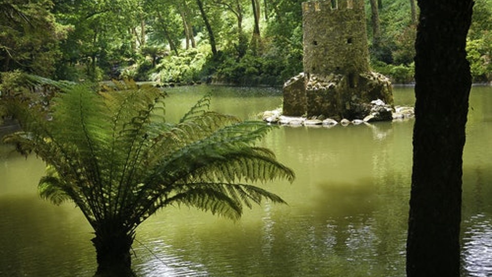 Pena Park in Sintra: Eintrittskarte