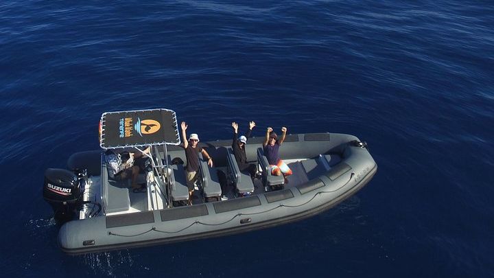 Tenerife Private Whale Watching Boat Tour