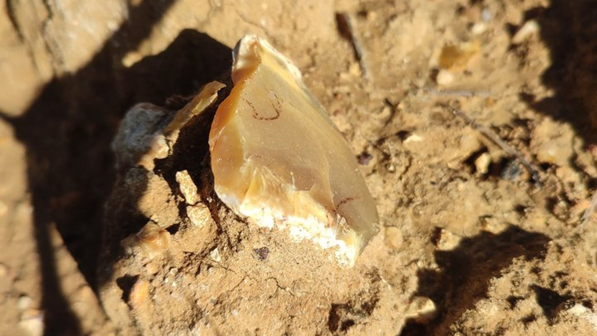 Drôme Côtes du Rhône Grignan Tag der Geologie, des Terroirs und des Weins