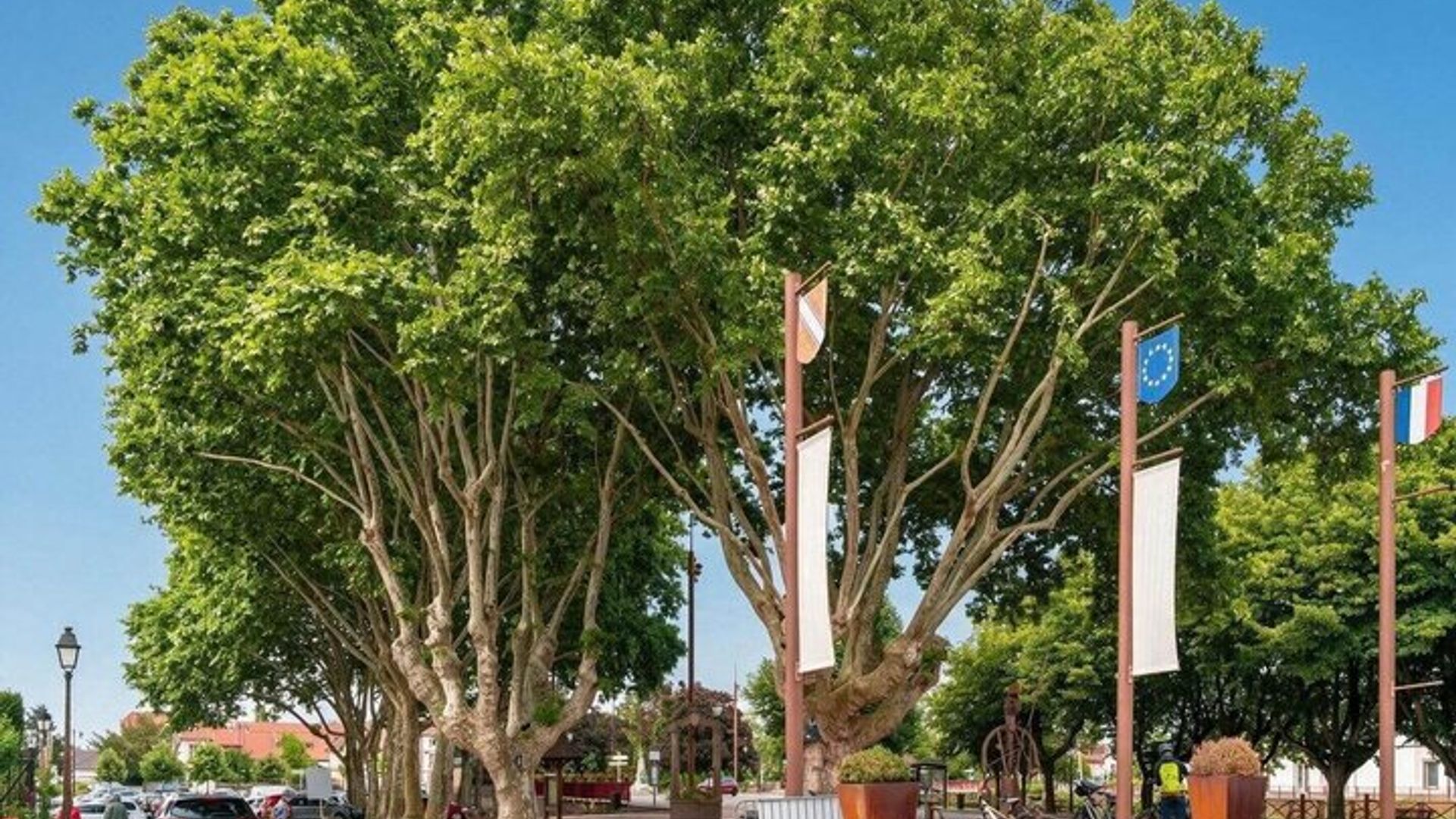 Hello Poitiers : Private 2 - Hour Intro Paseo por la ciudad con guía local