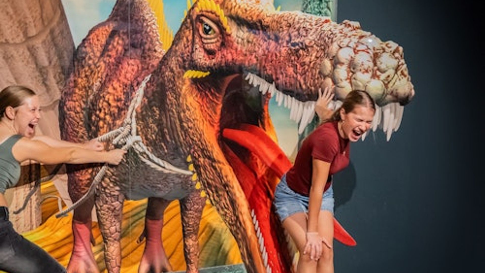 3D TrickArt Museum Berlin: Entry Ticket