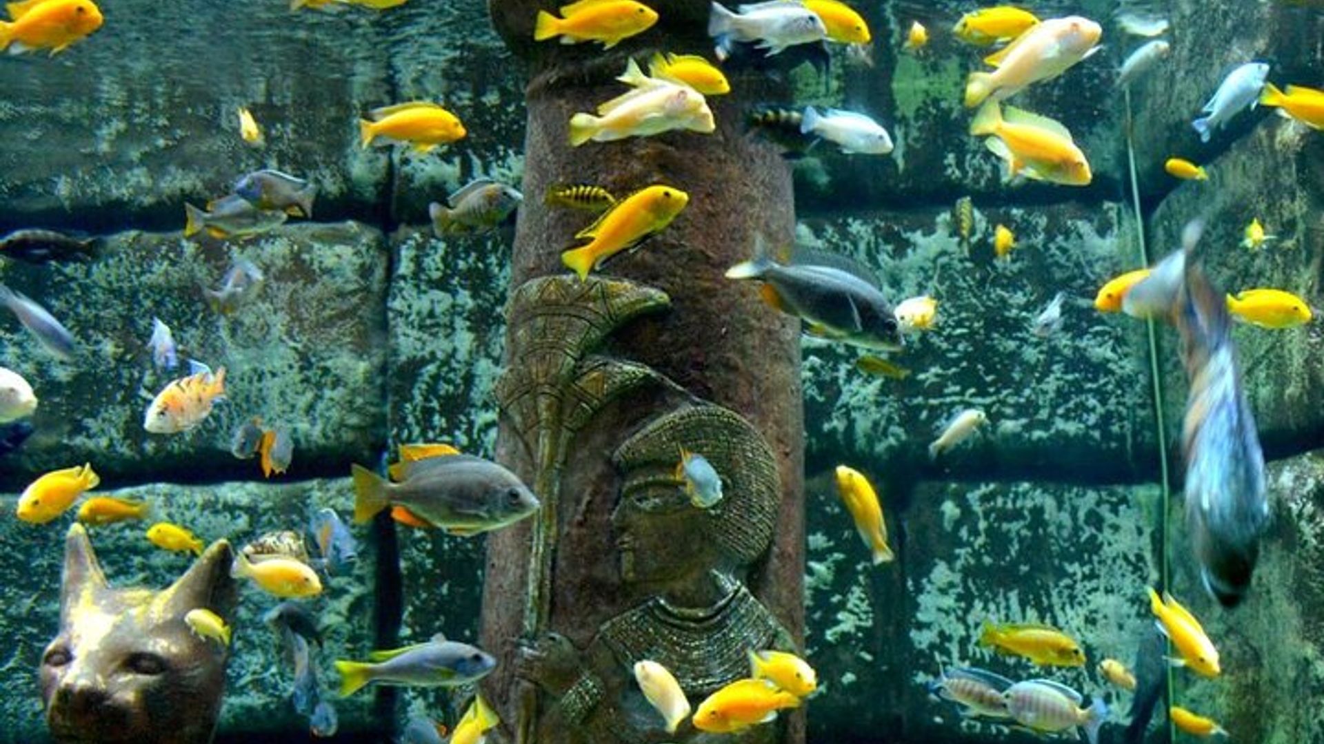 Antalya Aquarium with Entrance and Roundtrip Transfer from Alanya