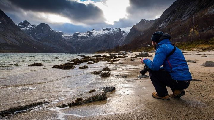 Arctic Nature Tour from Tromsø with Scenic Sommarøy picnic