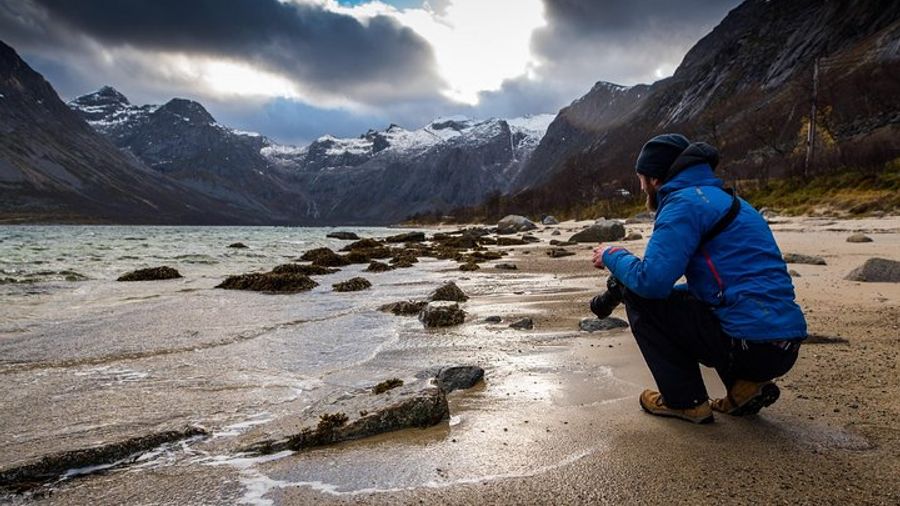 Arctic Nature Tour from Tromsø with Scenic Sommarøy picnic