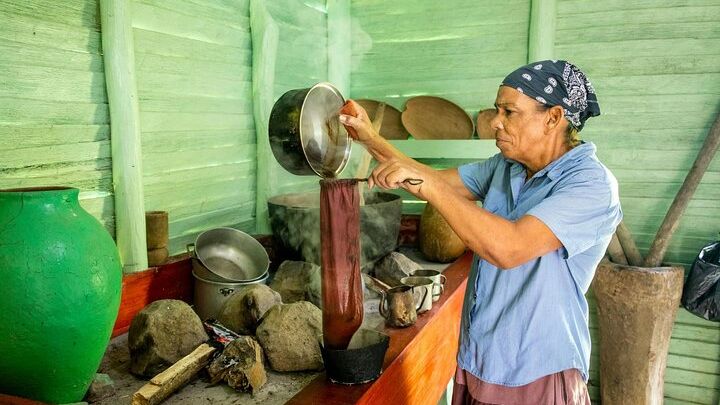 Dominican countryside, culture and beach escape with lunch