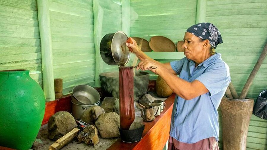 Dominican countryside, culture and beach escape with lunch