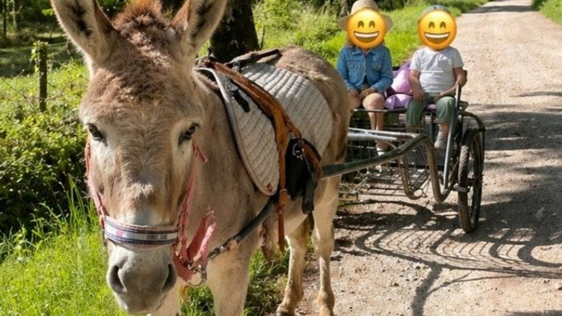 Balades en ânes en chemin pédestre