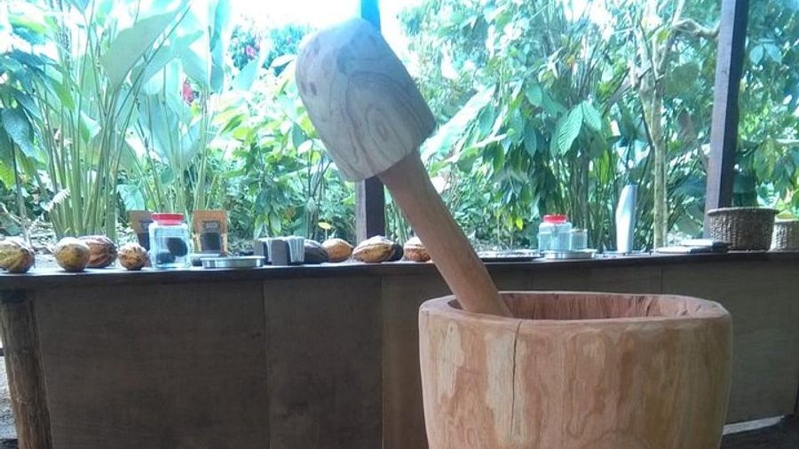 Chocolate, Coffee & Sugar Cane Experience - La Fortuna