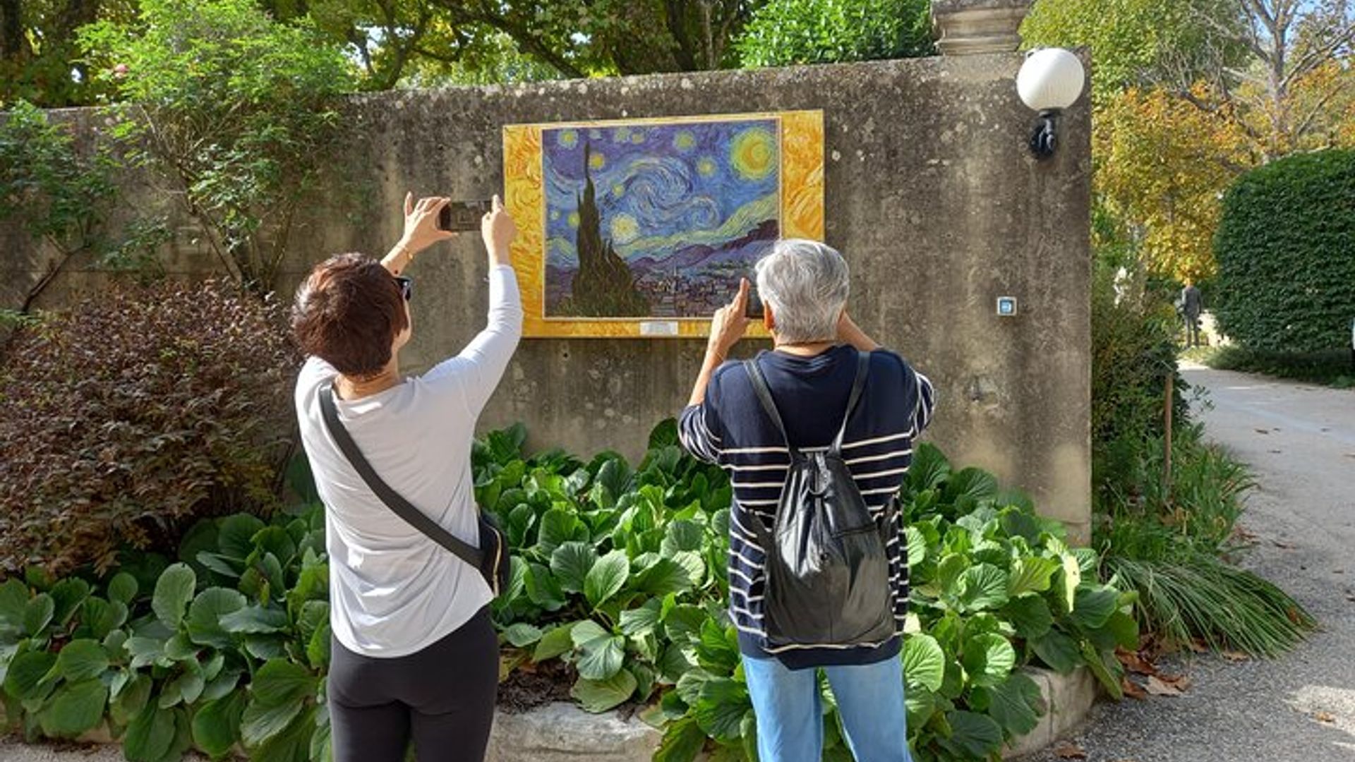 Provence and Arles Small-Group Van Gogh Tour From Avignon