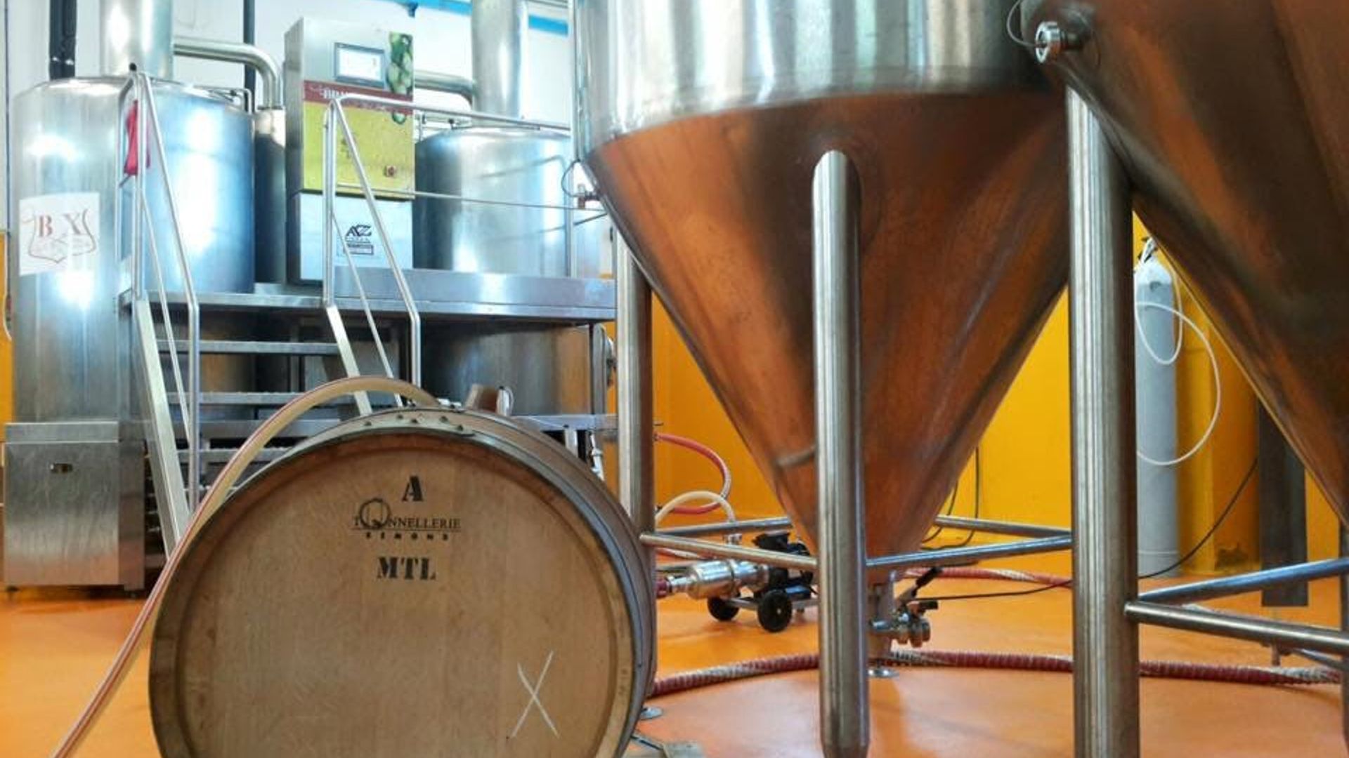 Guided tour of BVS brewery with tasting