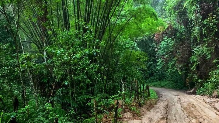 MINCA TOUR - Explore waterfalls and discover the origin of coffee and cocoa