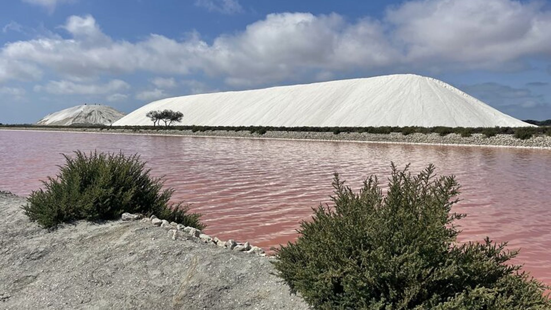 Day in Camargue Aigues-Mortes and St Marie de la mer
