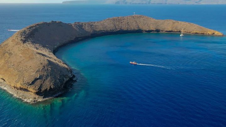 Maui Whale Watching Catamaran Cruise