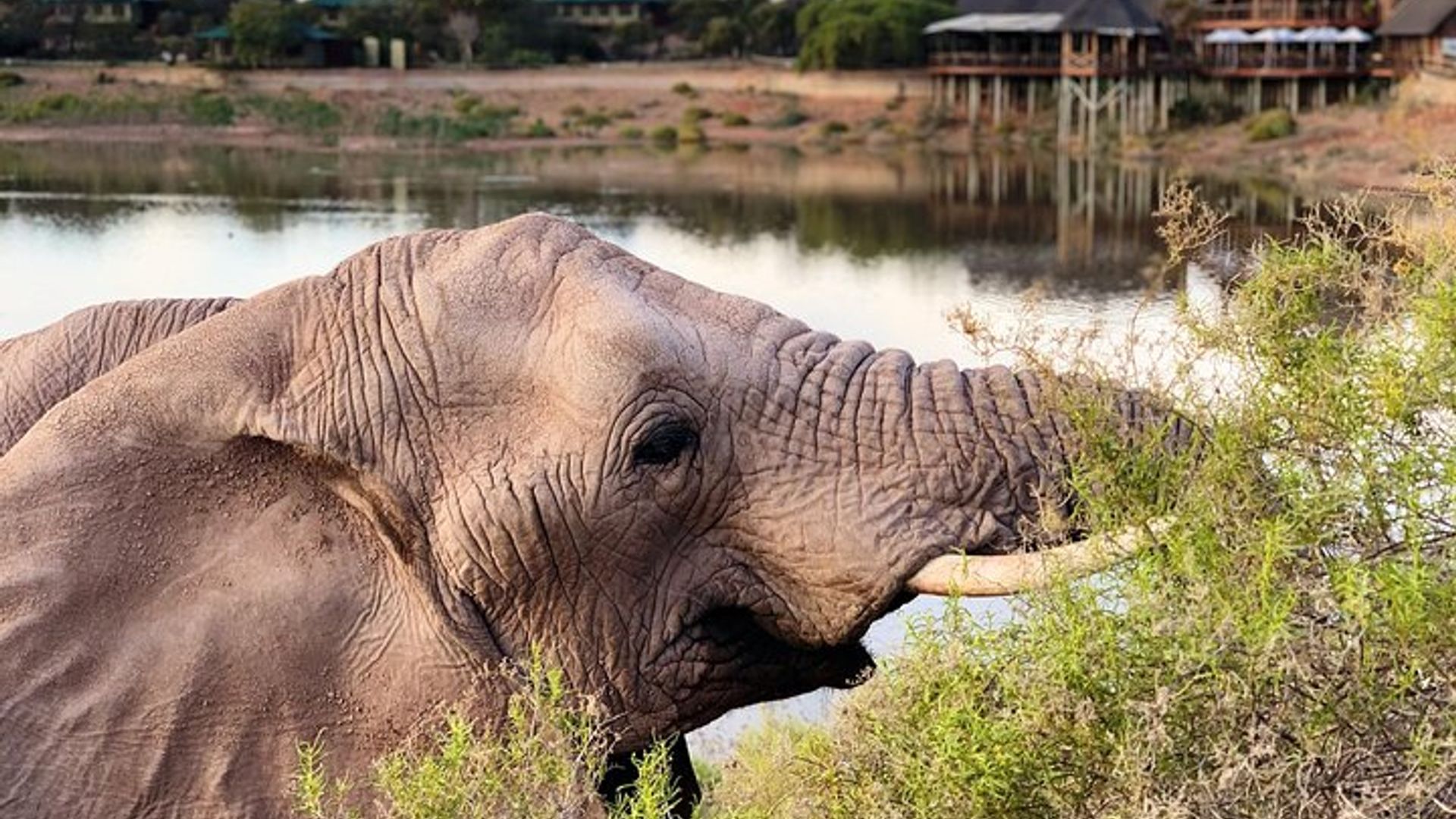 2 Day Small Group Garden Route Big 5 Safari Tour from Cape Town