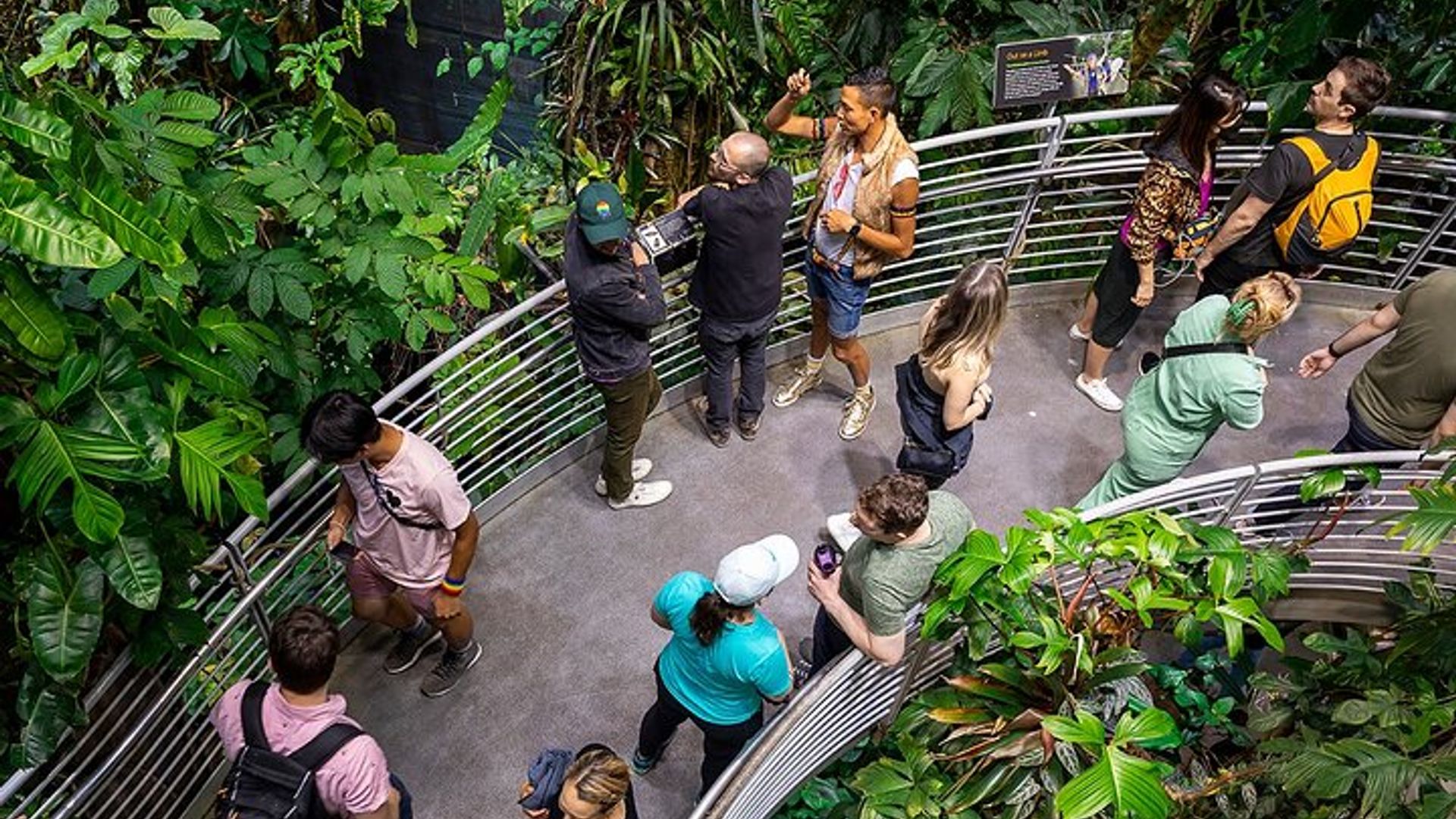 California Academy of Sciences NightLife Admission Ticket image 1