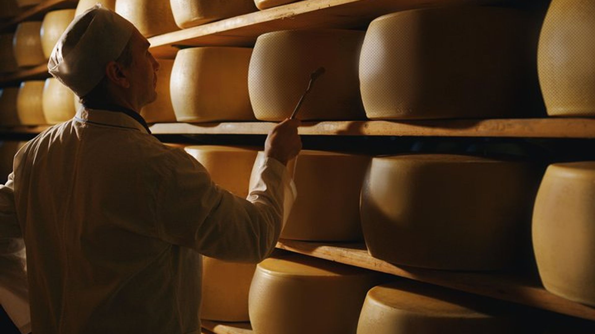 Parmigiano-Reggiano Cheese Factory Small group Tour From Parma