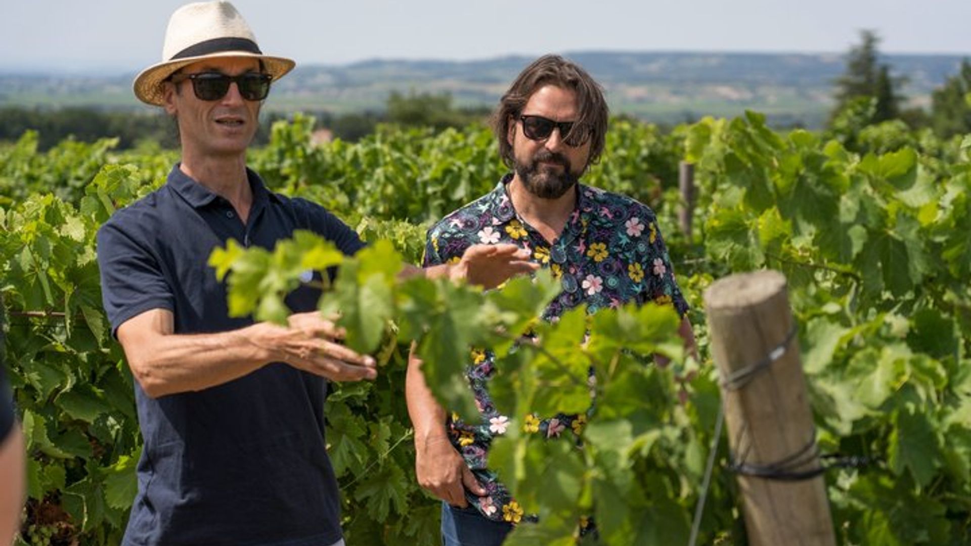 Visite de dégustation de vins en petit groupe de Chateauneuf du Pape au départ d'Avignon