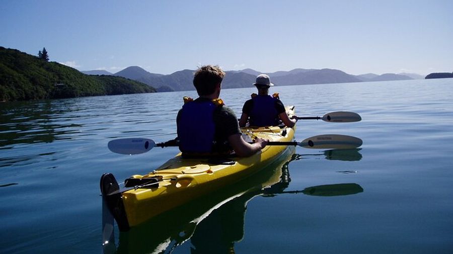 Marlborough Sounds Full-Day Sea Kayaking Tour from Picton