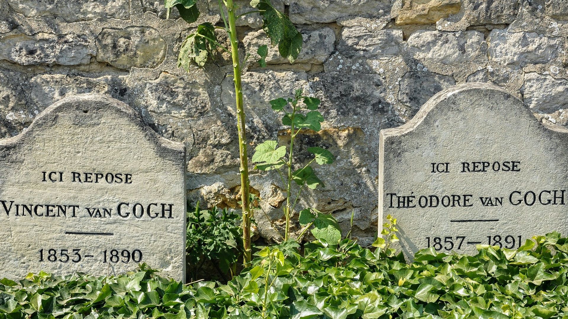 property.imageAlt