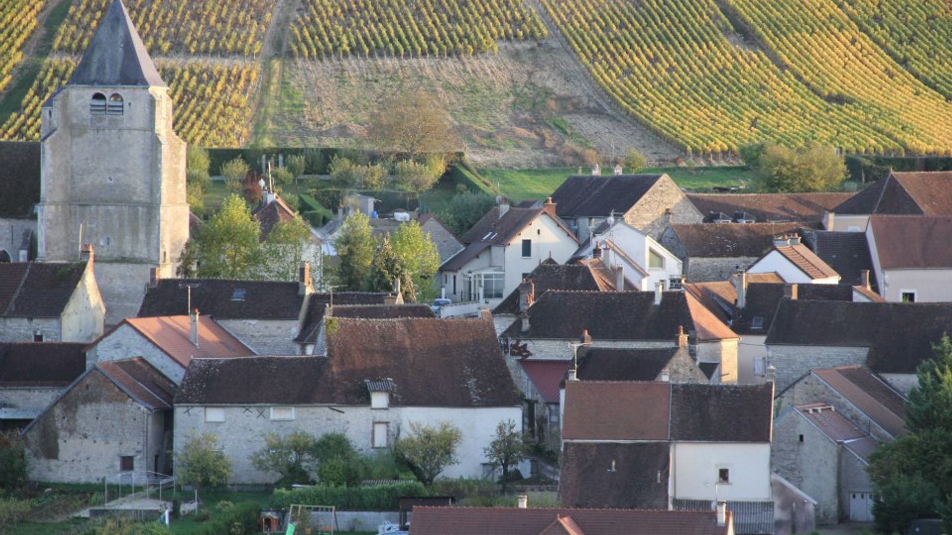 Half-Day Bike & Wine Tour in Burgundy's Côte de Beaune