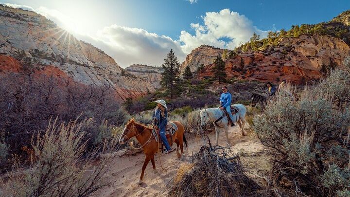 Zion National Park: Small-Group Horse Riding Experience