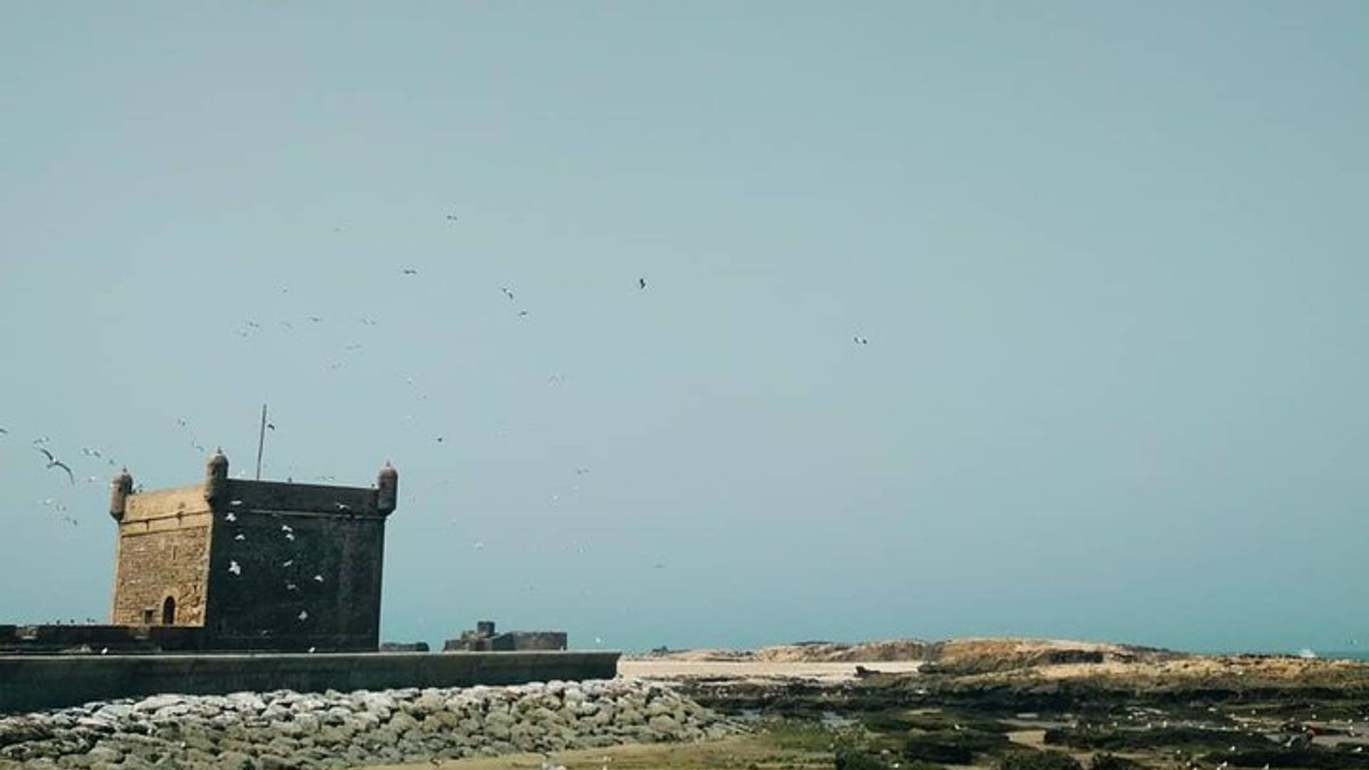 Day trip to Essaouira from Marrakech