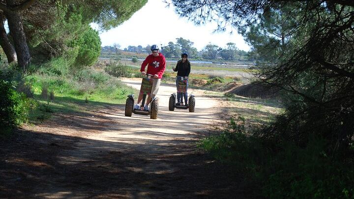 Ria Formosa Natural Park Bird-Watching Segway Tour From Faro