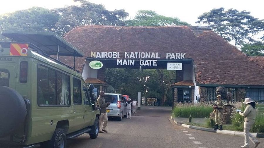 Nairobi National Park Guided Game Drive Wildlife Experience