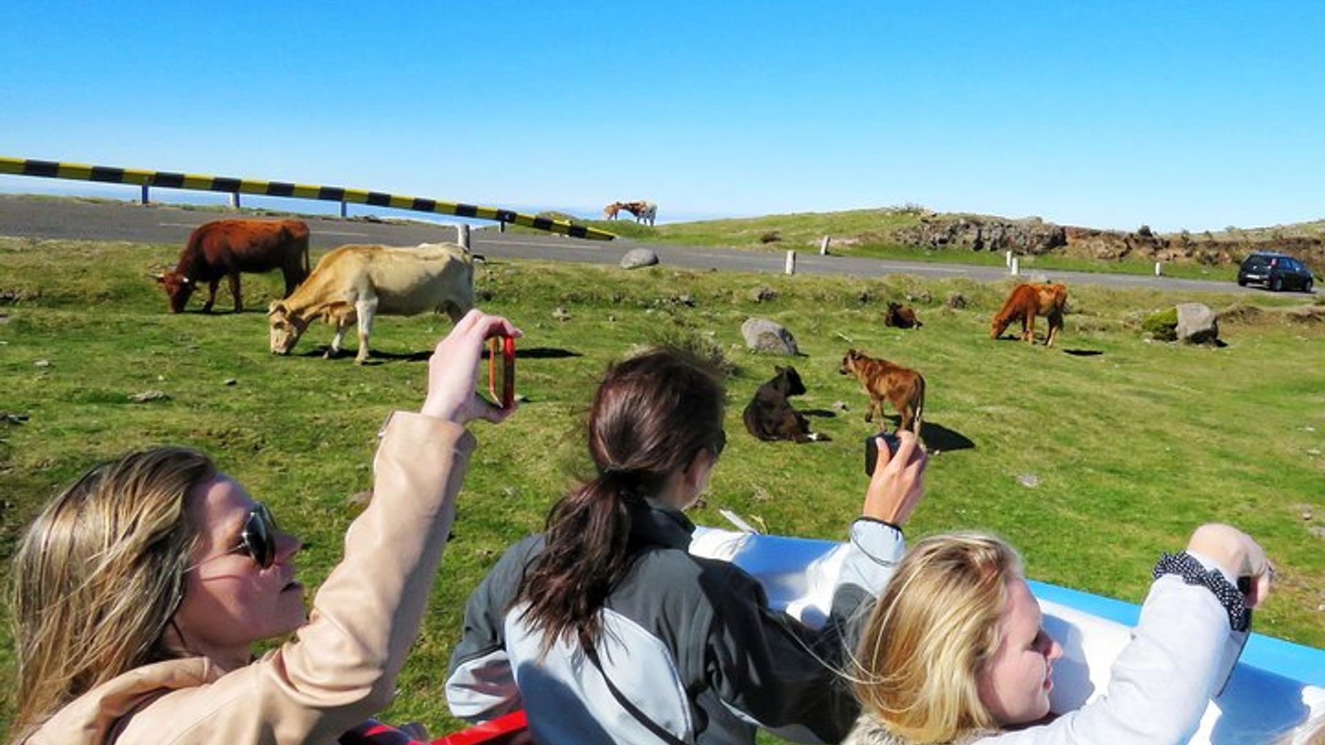 Le meilleur de SouthWest : une expérience en 4x4 avec toit ouvert