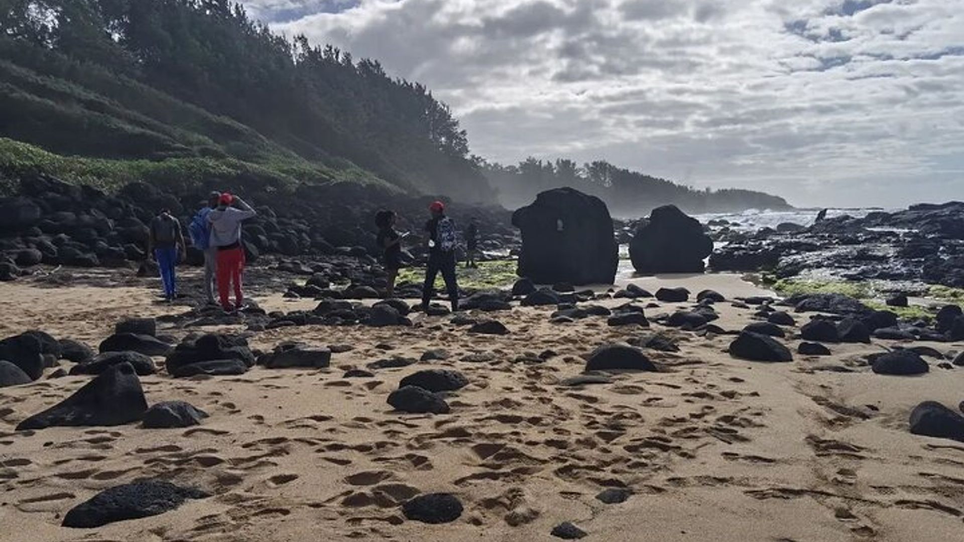 Sud sauvage avec cascades et points de vue exotiques rares avec déjeuner