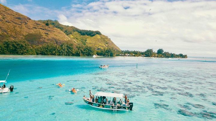 Lagoon Tour - Discover the magnificent lagoon of Moorea