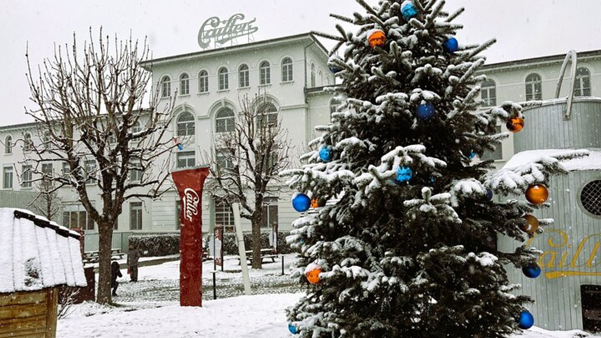 Chamonix - Degustación de chocolate y queso Tour privado a Gruyere