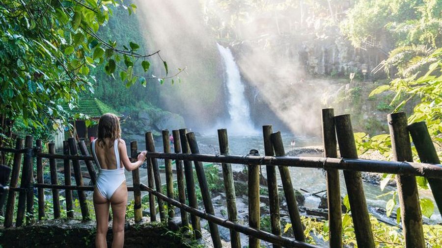 Private Tour: Ubud Highlights