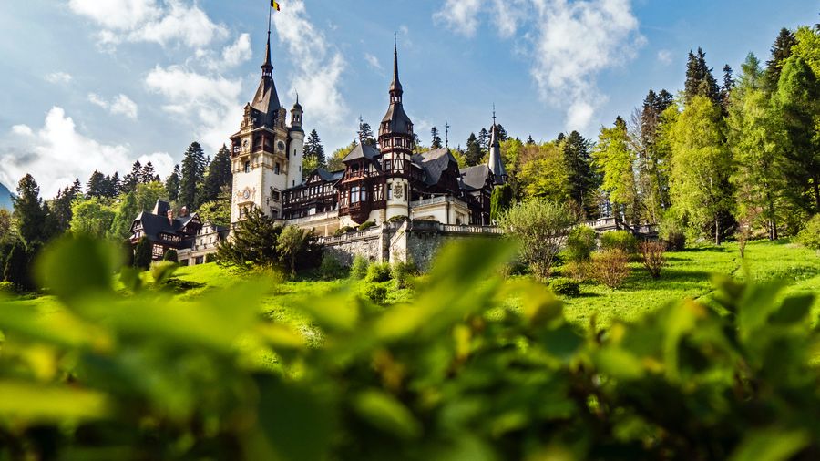 Peles & Cantacuzino Castles: Gourmet Wine & Cultural Day trip