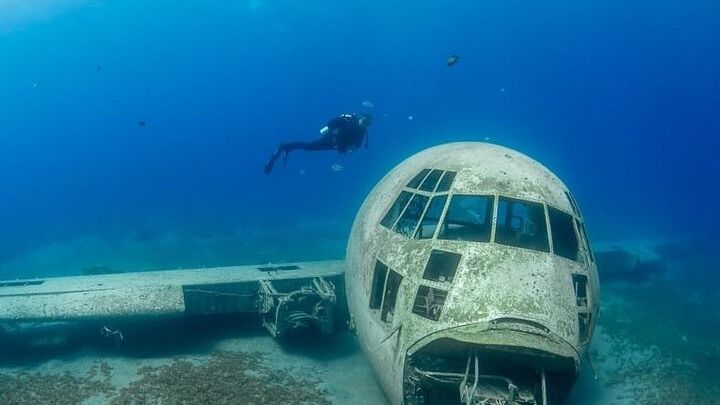 Aqaba Guided Scuba Diving Trip (Certified and Beginner Divers)
