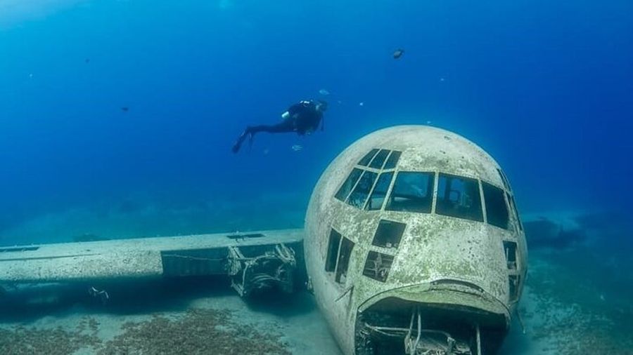 Aqaba Guided Scuba Diving Trip (Certified and Beginner Divers)
