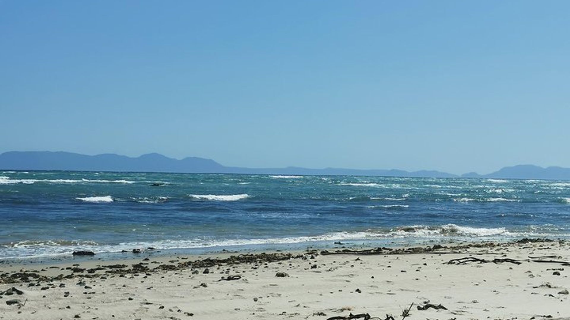 Cheetah Outreach, Gordon’s Bay, and Strand Beach Tour