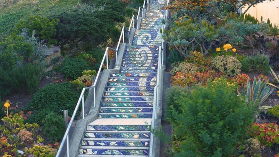 San Francisco Staircases and Gardens Small-Group Walking Tour