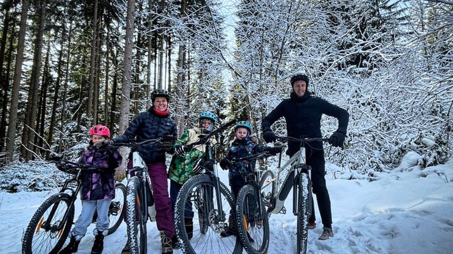 Innsbruck City and Mountains Half-Day E-bike Tour