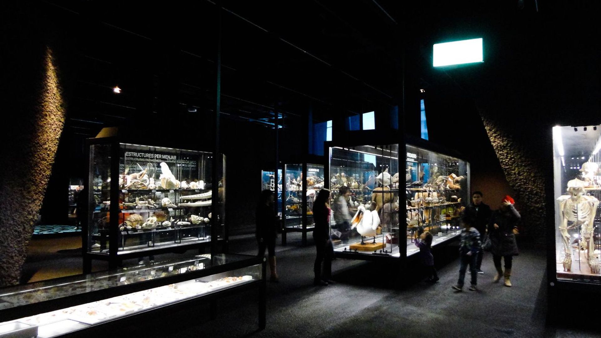 Museu Blau Self-Guided Audio Tour