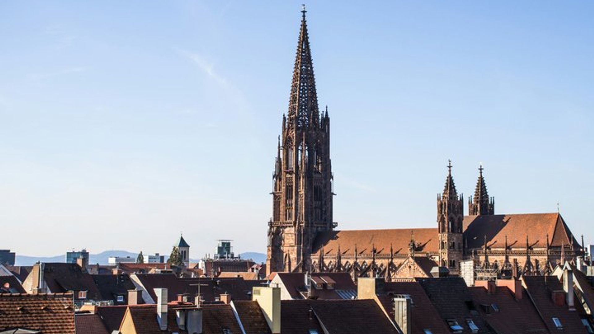 From Strasbourg: Visit to the Black Forest in Triberg, Titisee, Freiburg